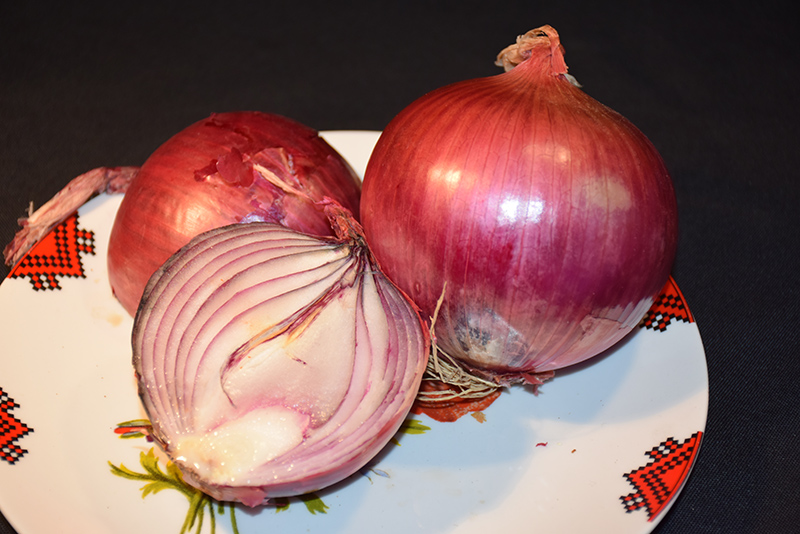 Red Onion (Allium cepa 'Red') at Pesche's Garden Center