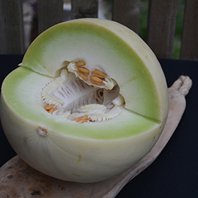 Honeydew Melon  Greater Chicago Food Depository
